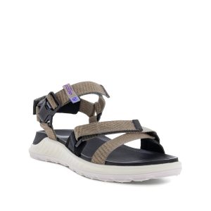 Exowrap - Women's Sandals in Taupe from Ecco